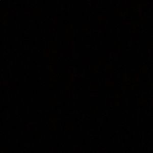 Meet your Posher, Savannah